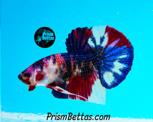 Load image into Gallery viewer, Marble Halfmoon Plakat Male