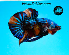 Load image into Gallery viewer, Marble Halfmoon Plakat Male
