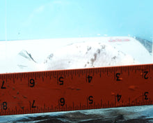 Load image into Gallery viewer, White Tiger Ranchu Female (4.5 inches) Imported from Thailand