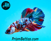 Load image into Gallery viewer, Galaxy Rainbow Marble Halfmoon Plakat Male