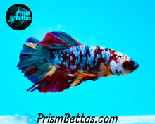 Load image into Gallery viewer, Galaxy Rainbow Marble Halfmoon Plakat Male