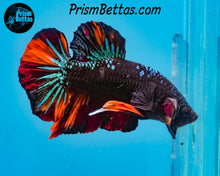 Load image into Gallery viewer, Blackstar Candy Marble Halfmoon Plakat Male