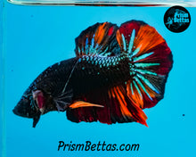 Load image into Gallery viewer, Blackstar Candy Marble Halfmoon Plakat Male