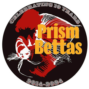 Prism Betta E-Gift Cards