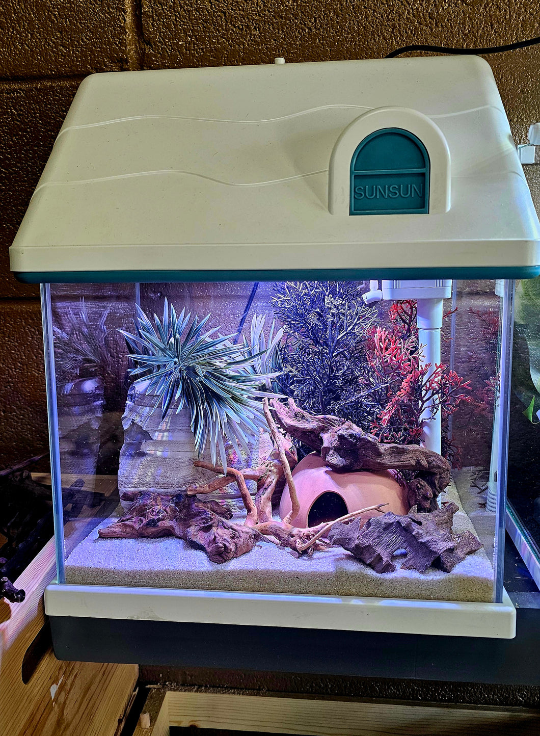 3.2 Gallon SunSun House Tank (1 available!)