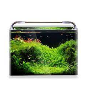 SunSun 14.5 gal Curve Corner Open Top Tank Set